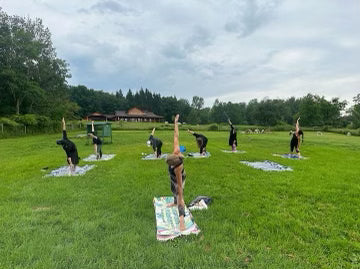 ALPACA YOGA IN JULY/AUG with Cheri Brasseale (Sundays 10AM)