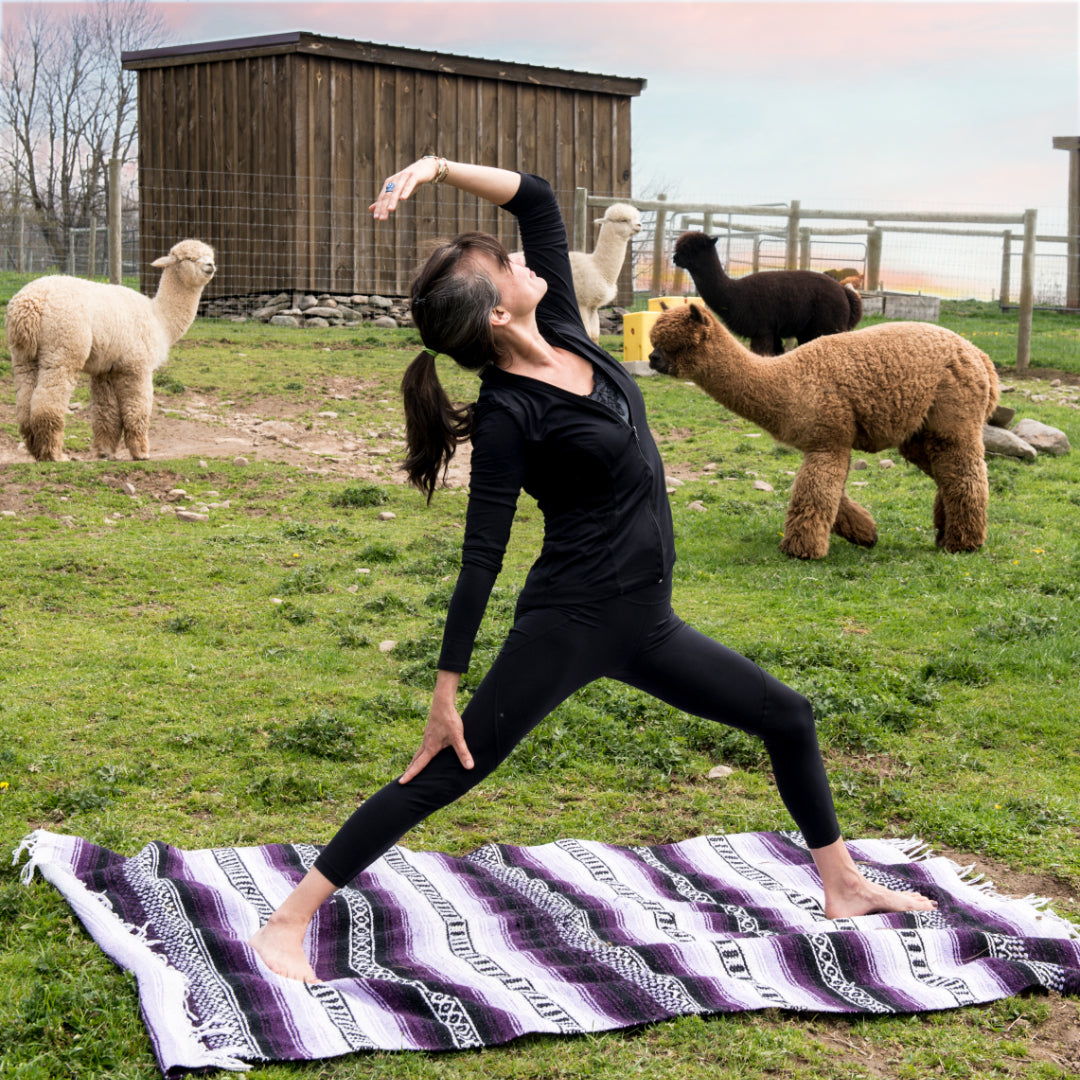ALPACA YOGA IN JULY/AUG with Cheri Brasseale (Sundays 10AM)