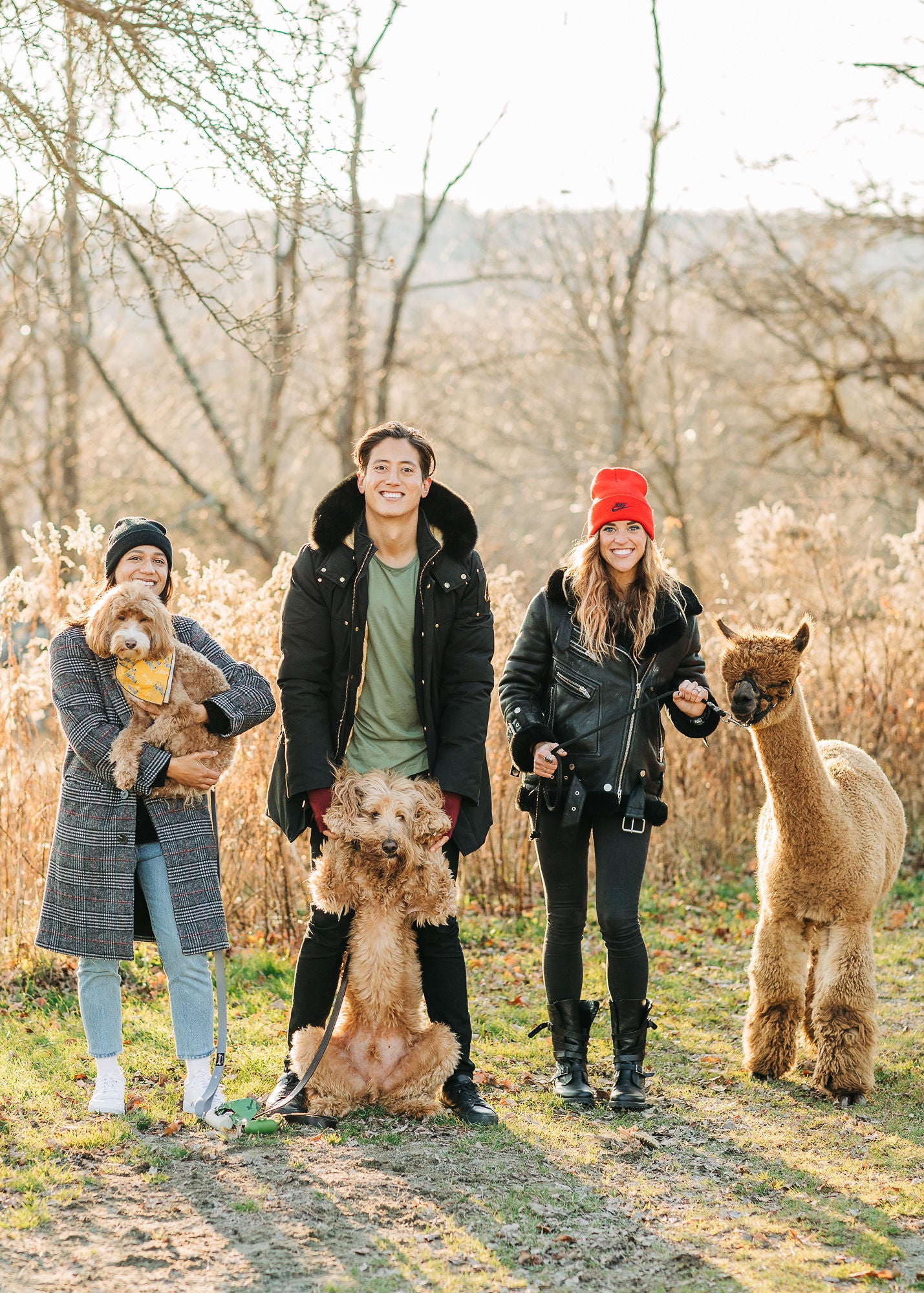DO-IT-YOURSELF ALPACA PHOTO SHOOTS (Staff Member Assisted)