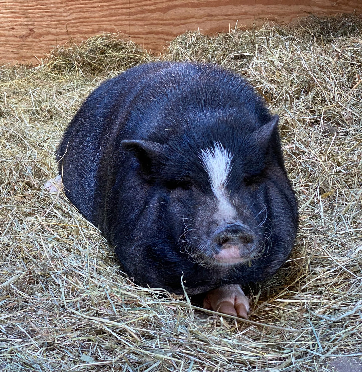 PRIVATE TOURS (Comprehensive Farm Tours for Small + Large Groups)