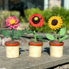 Felted Potted Flowers