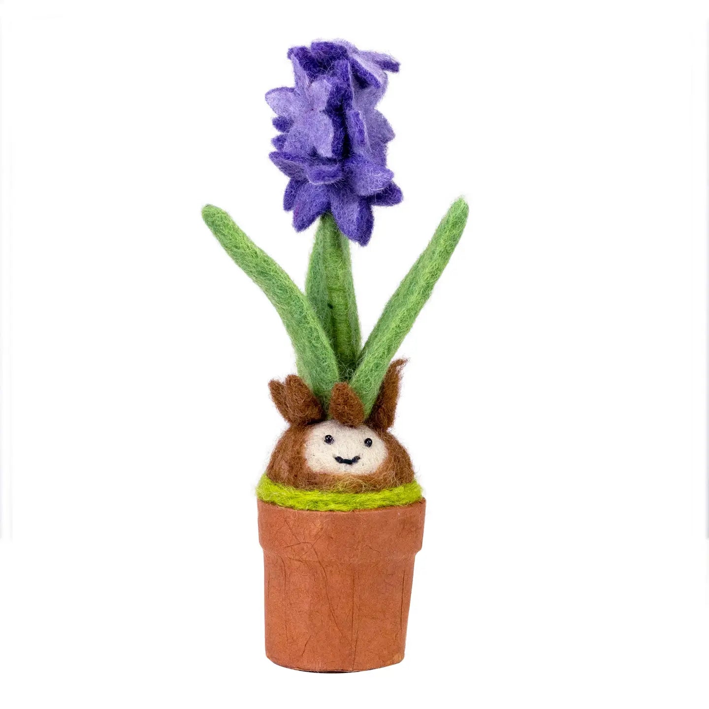Potted Bulb Blossoms