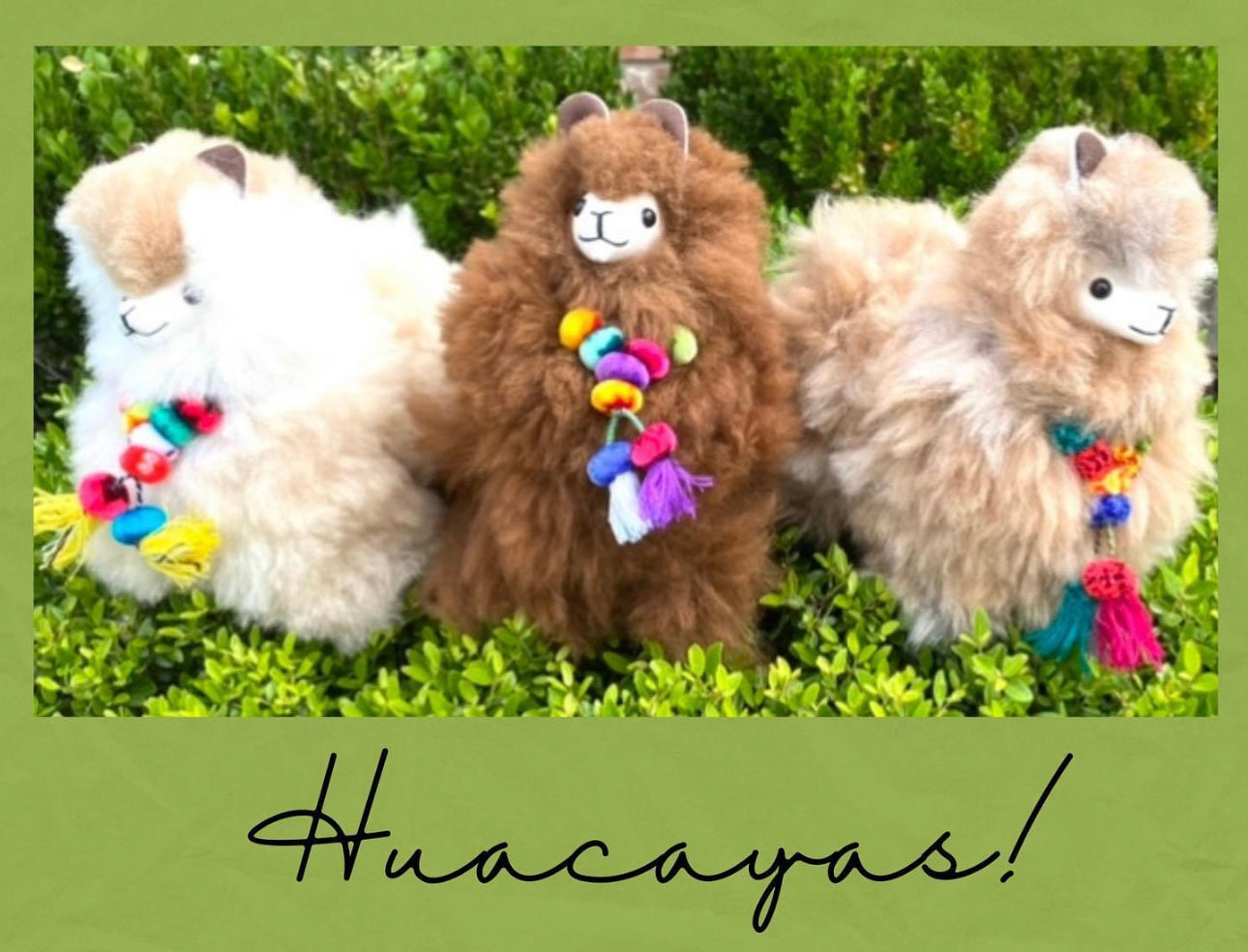 ALPACA STUFFED ALPACAS