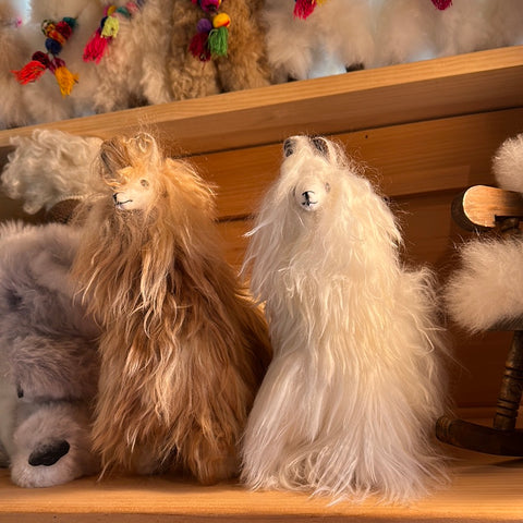 ALPACA STUFFED ALPACAS – Buck Brook Alpacas - Main Image