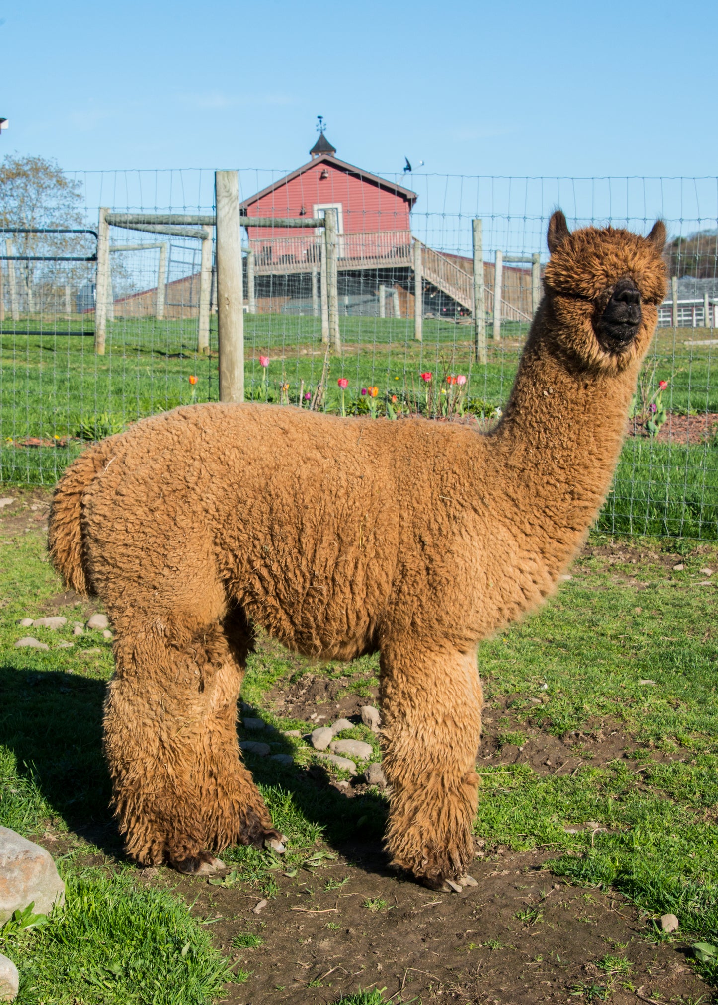 GENERAL ADMISSION TICKETS (Entry + Explore the Farm at Your Own Pace)
