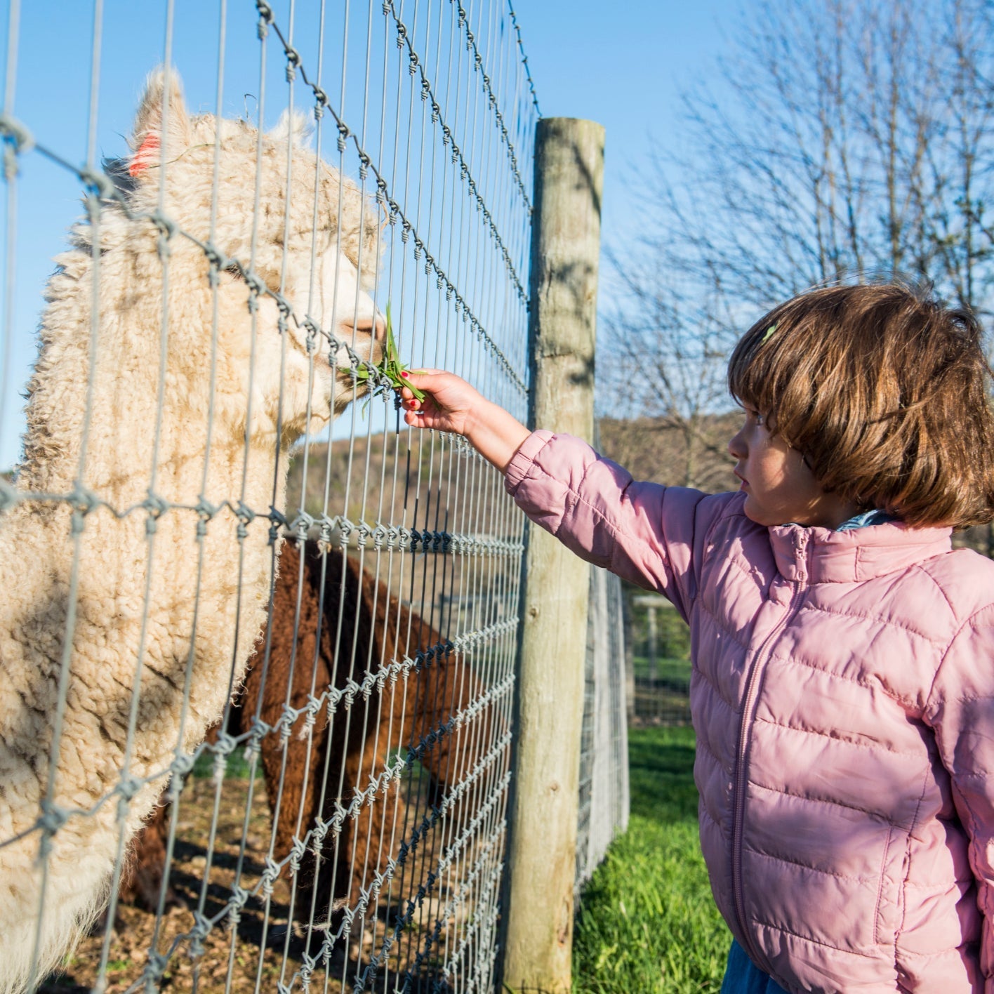PRIVATE TOURS (Comprehensive Farm Tours for Small + Large Groups)