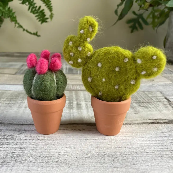Needle Felting Kit / Cacti