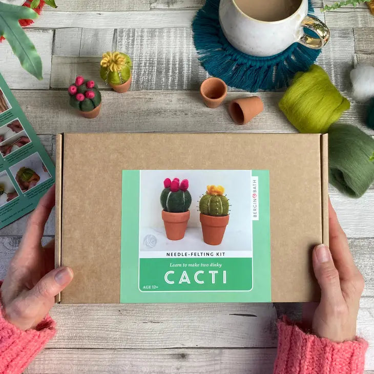 Needle Felting Kit / Cacti