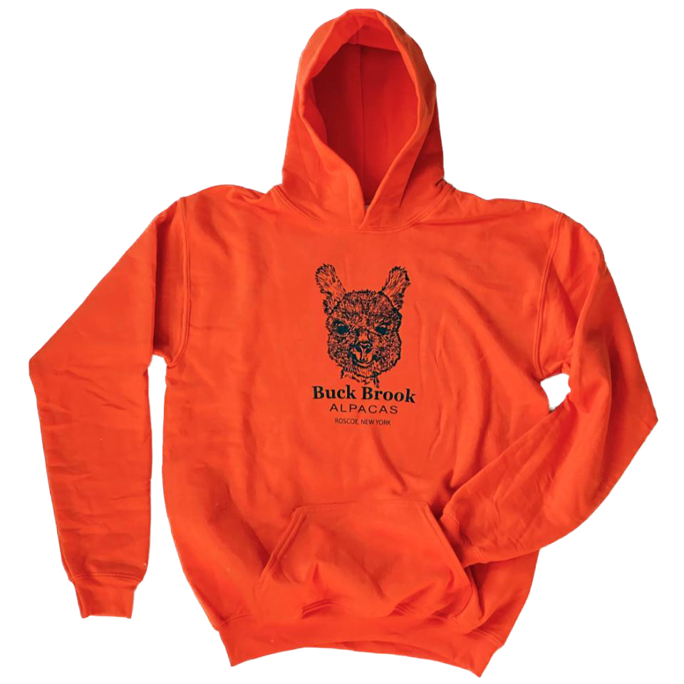 BBA HOODIE SWEATSHIRT - YOUTH