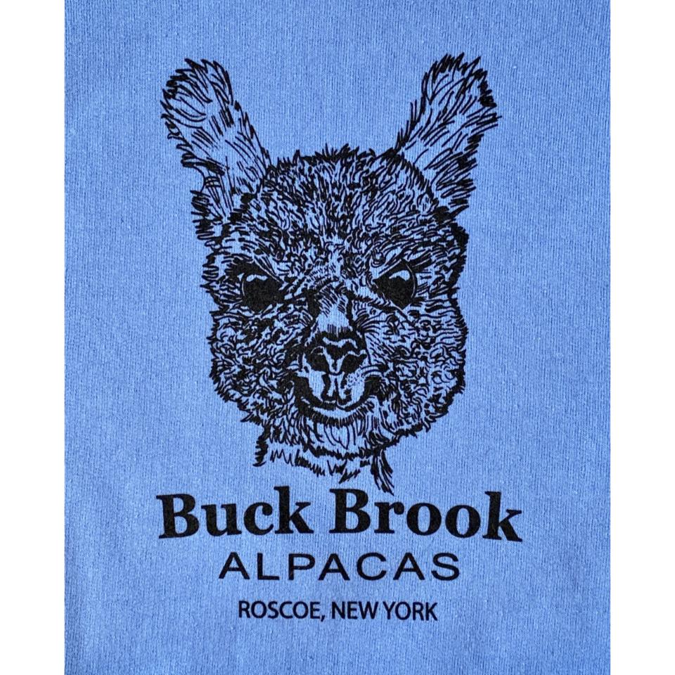BBA HOODIE SWEATSHIRT - YOUTH