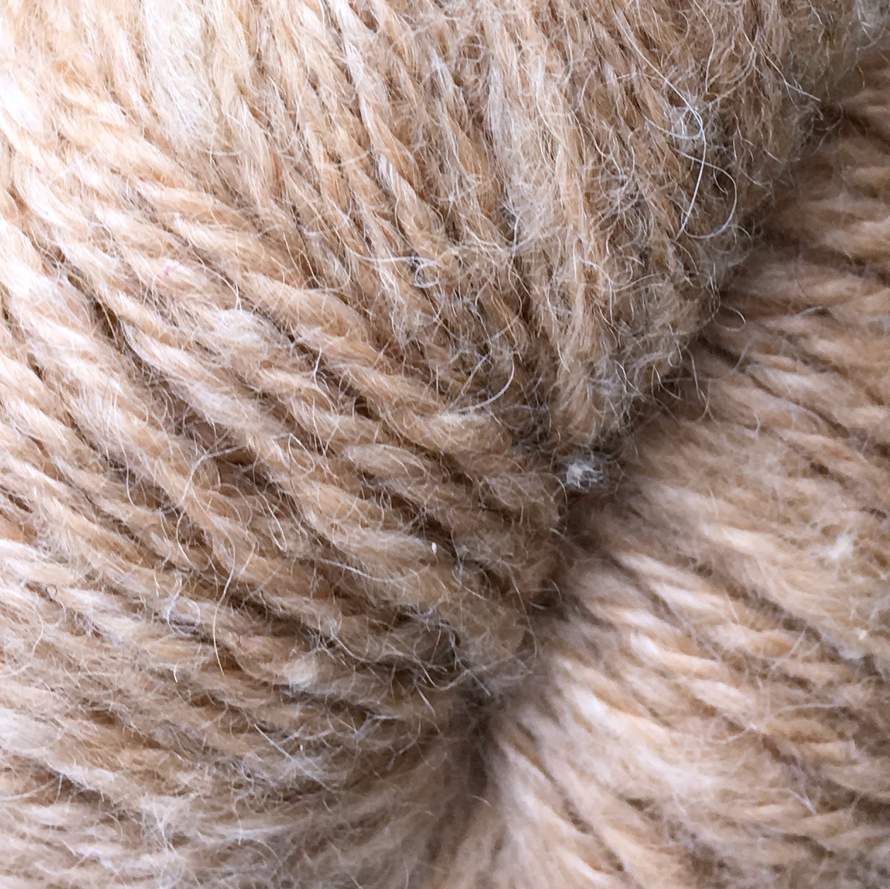 OUR BACK 40/ 100% ALPACA / 2PLY SPRT.WT.