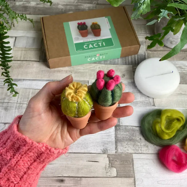 Needle Felting Kit / Cacti