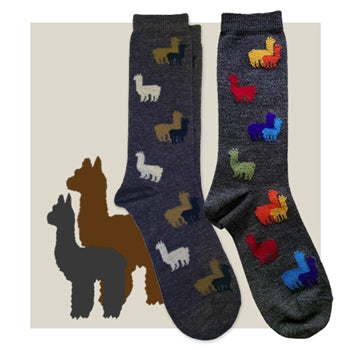 PACA KIDS HERD SOCK