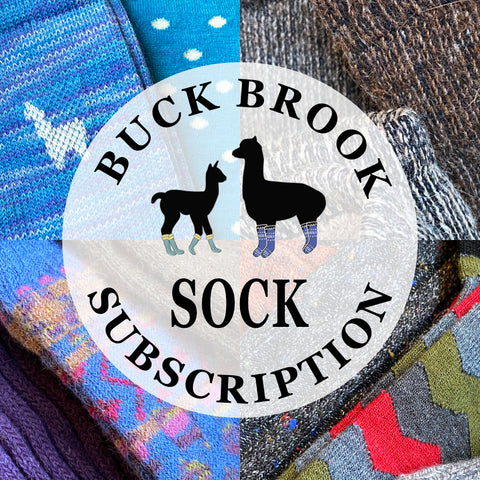 BBA Four Seasons Sock Subscription 4 pair annually