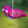 WILD WOOLIES FLETED BIRD / Purple Finch